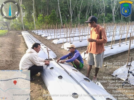 BUMDES DESA TEBING SULUH KEMBANGKAN BUDIDAYA CABAI UNTUK KETAHANAN PANGAN